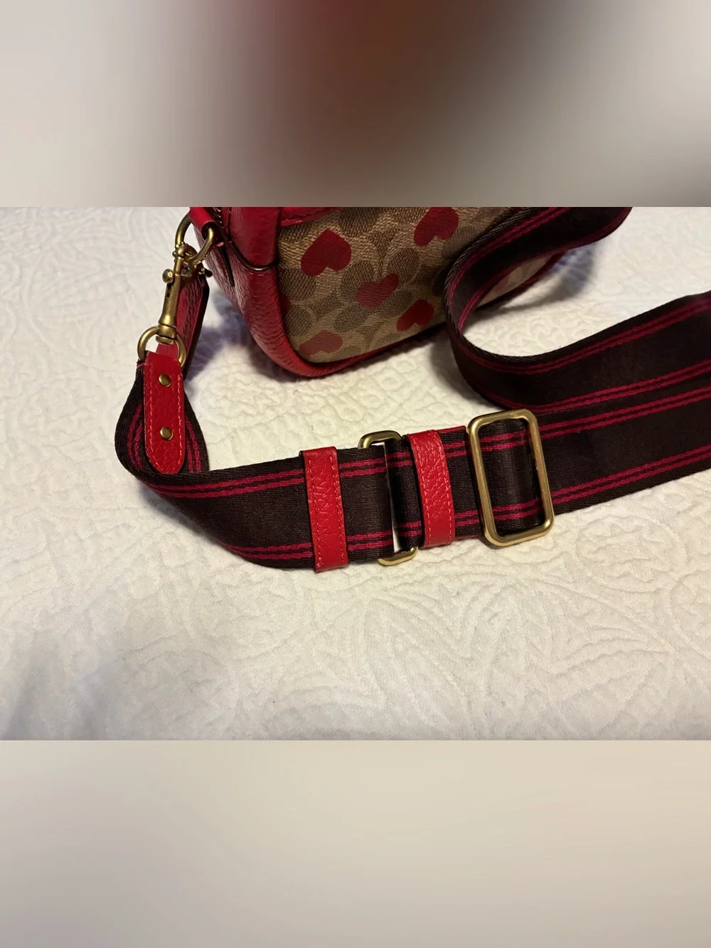 Coach Camera Signature Red Heart Print Crossbody Bag